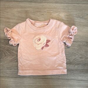 Chick Pea Light Pink‎ Ruffle Sleeve Shirt Size 12 Months